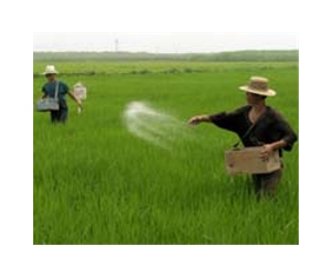 S. Korean farmers rally against China trade talks