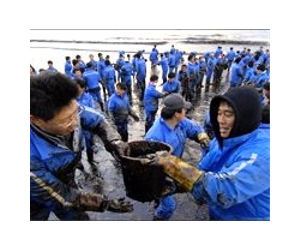 Why coastal oil spills can pollute for decades: study