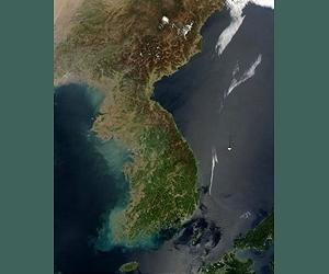 In signal to Pyongyang, US, SKorea beef up ties