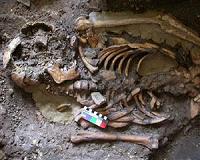 'Fourth strand' of European ancestry originated with hunter-gatherers isolated by Ice Age