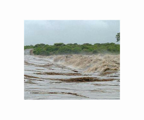 South Africa's Kruger park suffers 'devastating' damage from floods