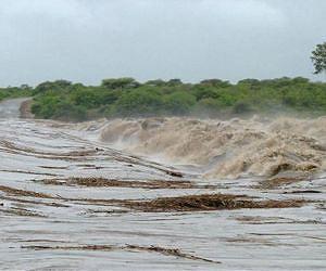 Flooding forces South Africa's Kruger Park to close gates