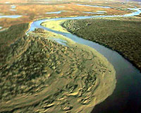 River Carbon Impacts On The Arctic Ocean