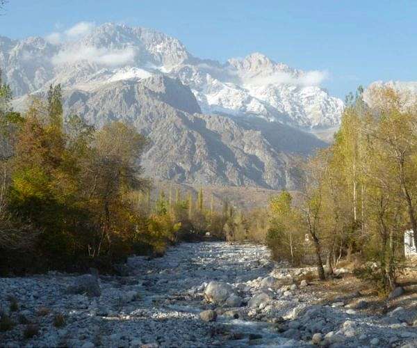 In Kyrgyzstan, world's largest natural walnut forest thins away