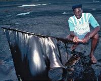 Water 'microhabitats' in oil show potential for extraterrestrial life, oil cleanup