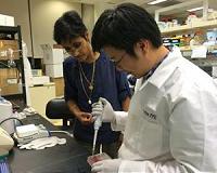 Exeter scientists call for reduction in plastic lab waste