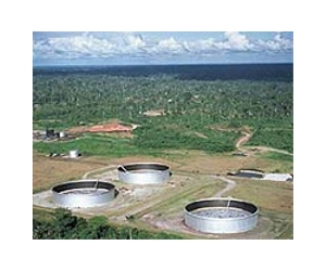 Ecuador's Correa to propose oil nationalization bill