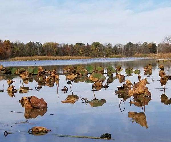 Top EU court raps Spain over wetlands