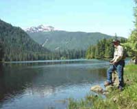 Fish Devastated By Sex-Changing Chemicals In Municipal Wastewater