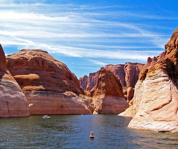 US reservoirs hold billions of pounds of fish