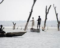 Ghana's 'miracle': logging underwater forests for exotic timber