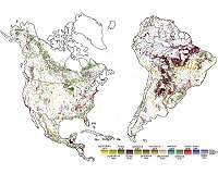 Geographers find tipping point in deforestation
