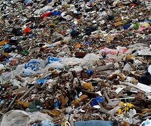 Global cyber anti-garbage drive aims to muster millions