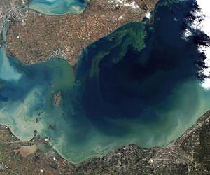 Extreme algal blooms: The new normal?