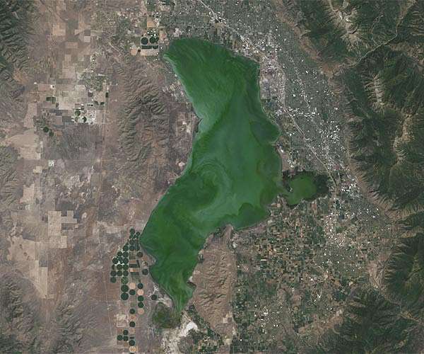 Landsat data warns of harmful algal blooms