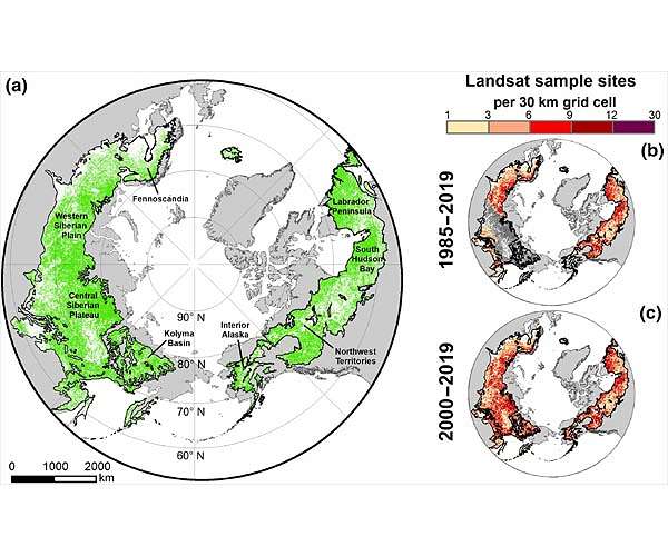 Subarctic boreal forest, vital for the planet, is at risk