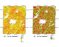 New artificial intelligence algorithm better predicts corn yield