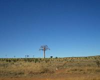 The history of human genetic ancestry in Madagascar
