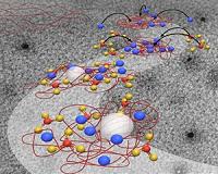 How ionic: Scaffolding is in charge of calcium carbonate crystals