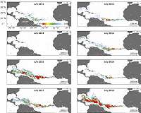 Scientists discover the biggest seaweed bloom in the world