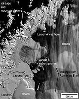 Antarctic Reveals First Hints of Biological Change After Collapse of Polar Ice Shelves