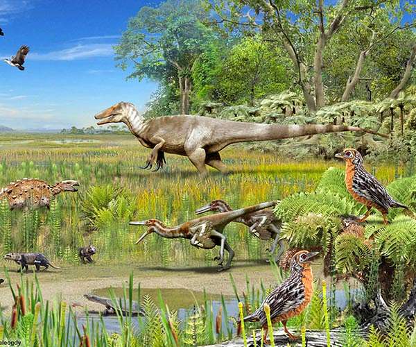 Fossils reveal dinosaurs of prehistoric Patagonia