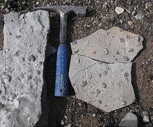 The Cold Facts Of A Mass Extinction