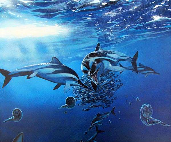 Monster munch: Ancient marine reptile died after dining on fellow titan
