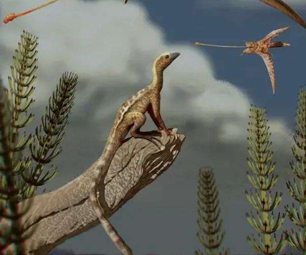 Pterosaur brains evolved pathways to flight different from birds