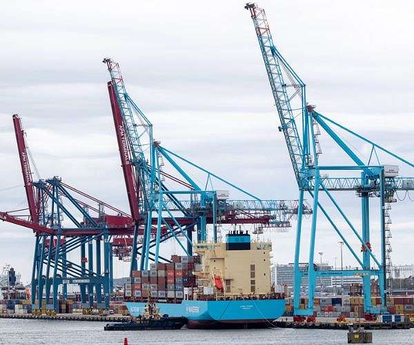 Maersk lifts outlook as China exports defy trade tensions; UAE inks $22 port deal stake in Latakia