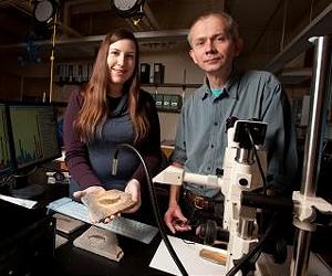 Prehistoric Fish Extinction Paved The Way For Modern Vertebrates