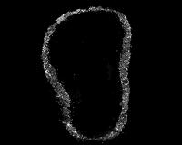 Revised view of brain circuit reveals how we avoid powerful odors
