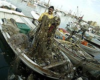 First global illegal fishing treaty agreed: UN