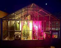 Study: LED lights draw fewer insects