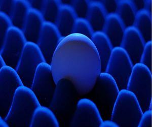Quantum information motion control is now improved