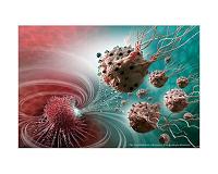 Humans may influence cancer in many other species on the planet
