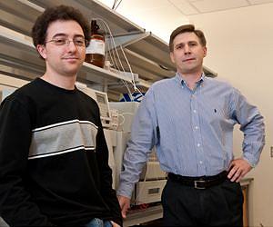 Rice chemists cram 2 million nanorods into single cancer cell