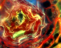 Radiation-Eating Fungi Could Change The Energy Balance On Earth And Beyond