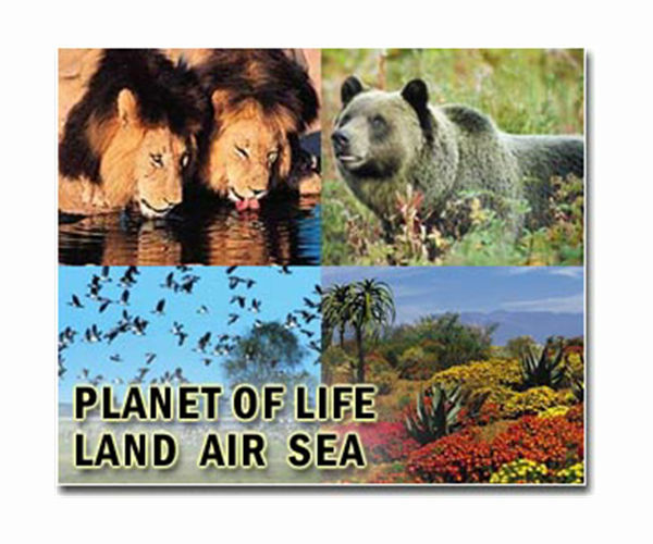 Preserving animal habitat could prevent future pandemics, study says
