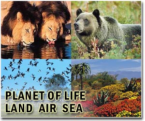 UN's biodiversity plans hit snag
