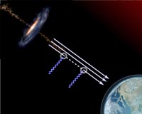 Dark matter does not contain certain axion-like particles