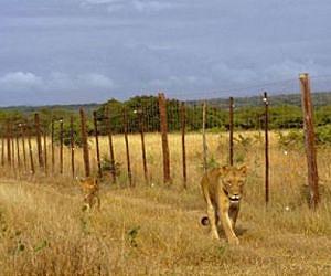 Scientists devise technology to help manage game reserves