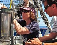 Deep-sea biodiversity impacted by climate change's triple threat