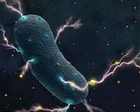 Scientists revive microbes from 100 million years ago