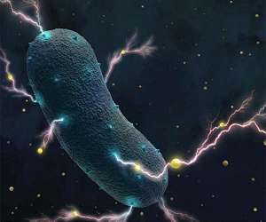 Study reveals how microbes travel the Earth on the wind