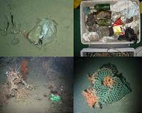 European seafloor survey reveals depth of marine litter problem