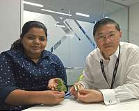 Bio-inspired energy storage: A new light for solar power