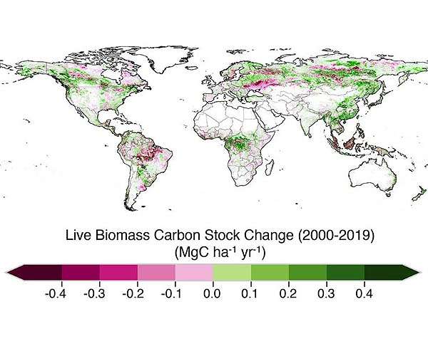 European satellite launches to track global forest biomass from space