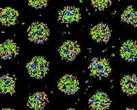 Growing stem cells for deep space exploration