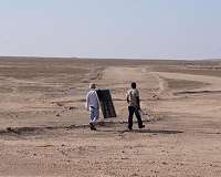 Fog and dew keep Africa's Namib Desert ecosystem going